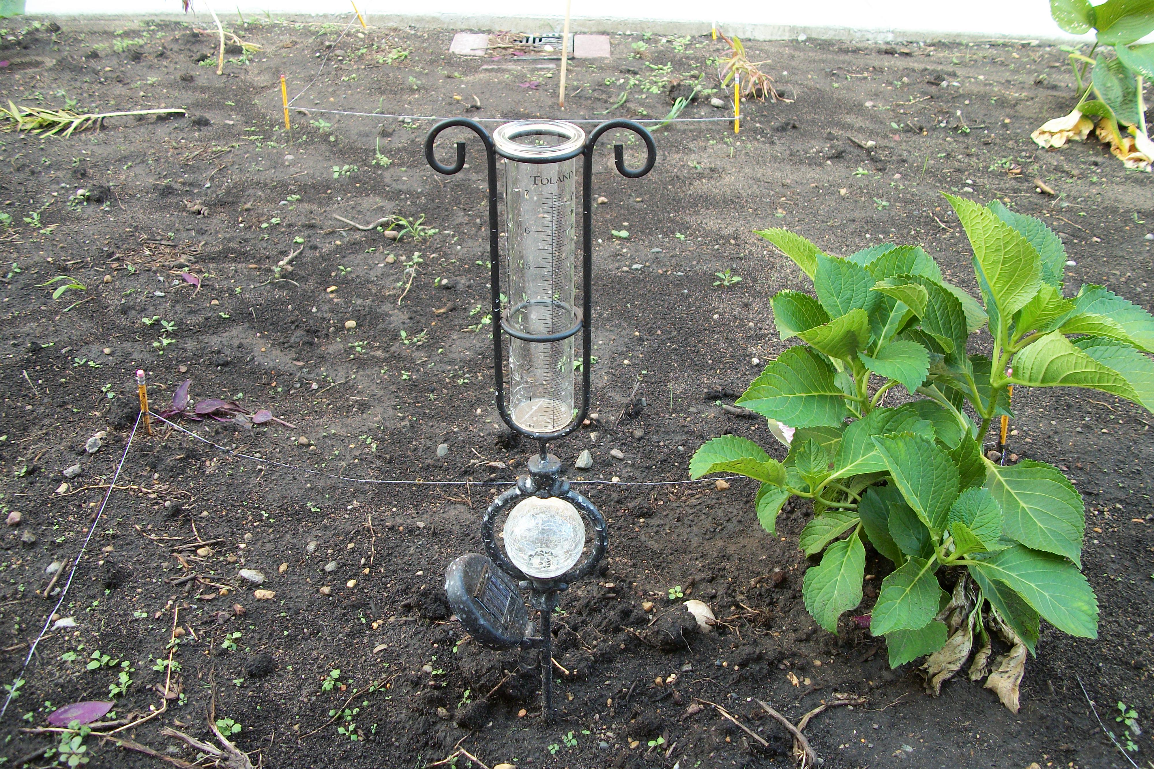 Our rain gauge--for tracking precipitation