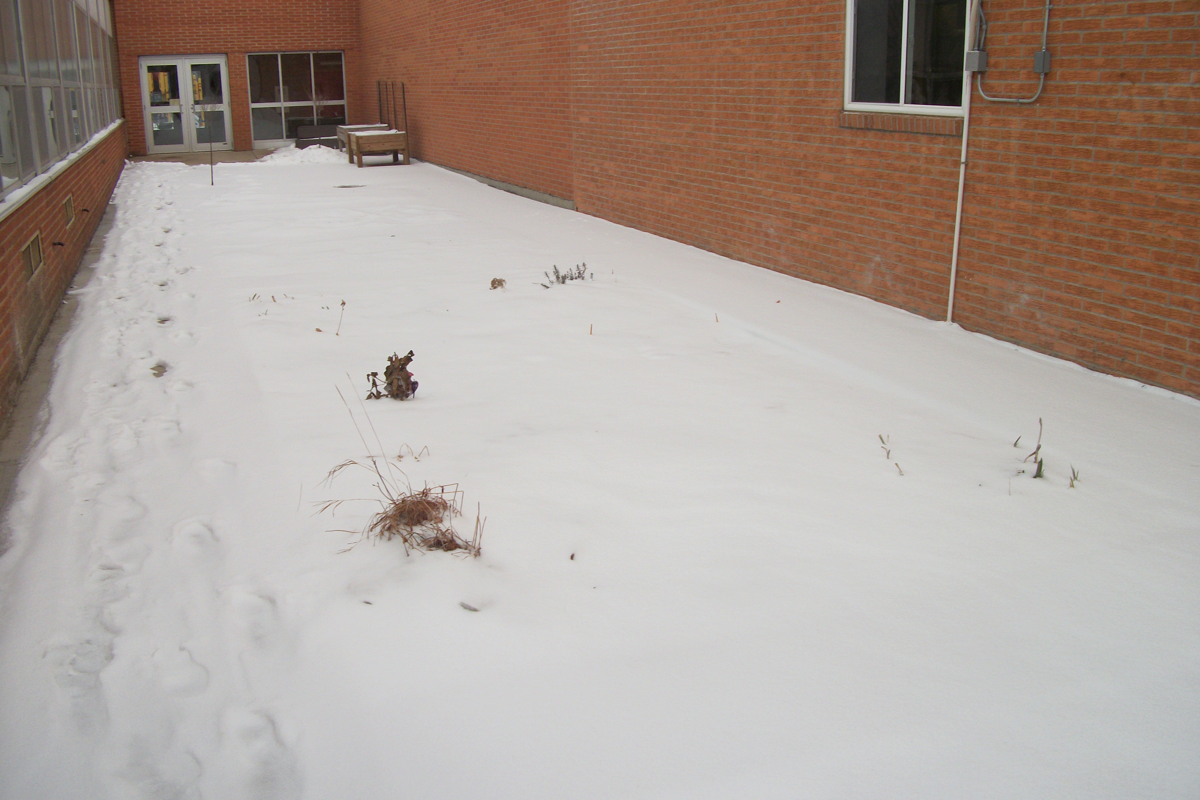 Winter in the Secret Garden